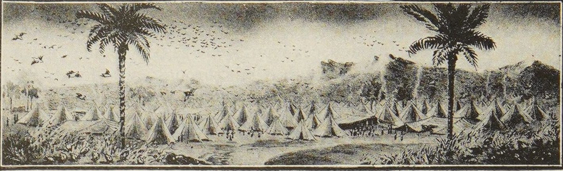 Quails.