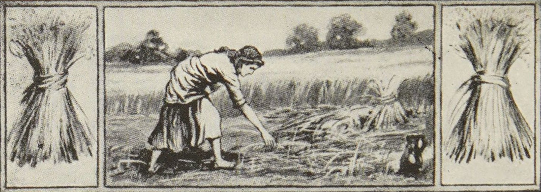 Ruth the Gleaner.