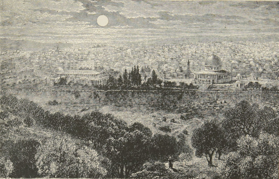 The city in the moonlight.